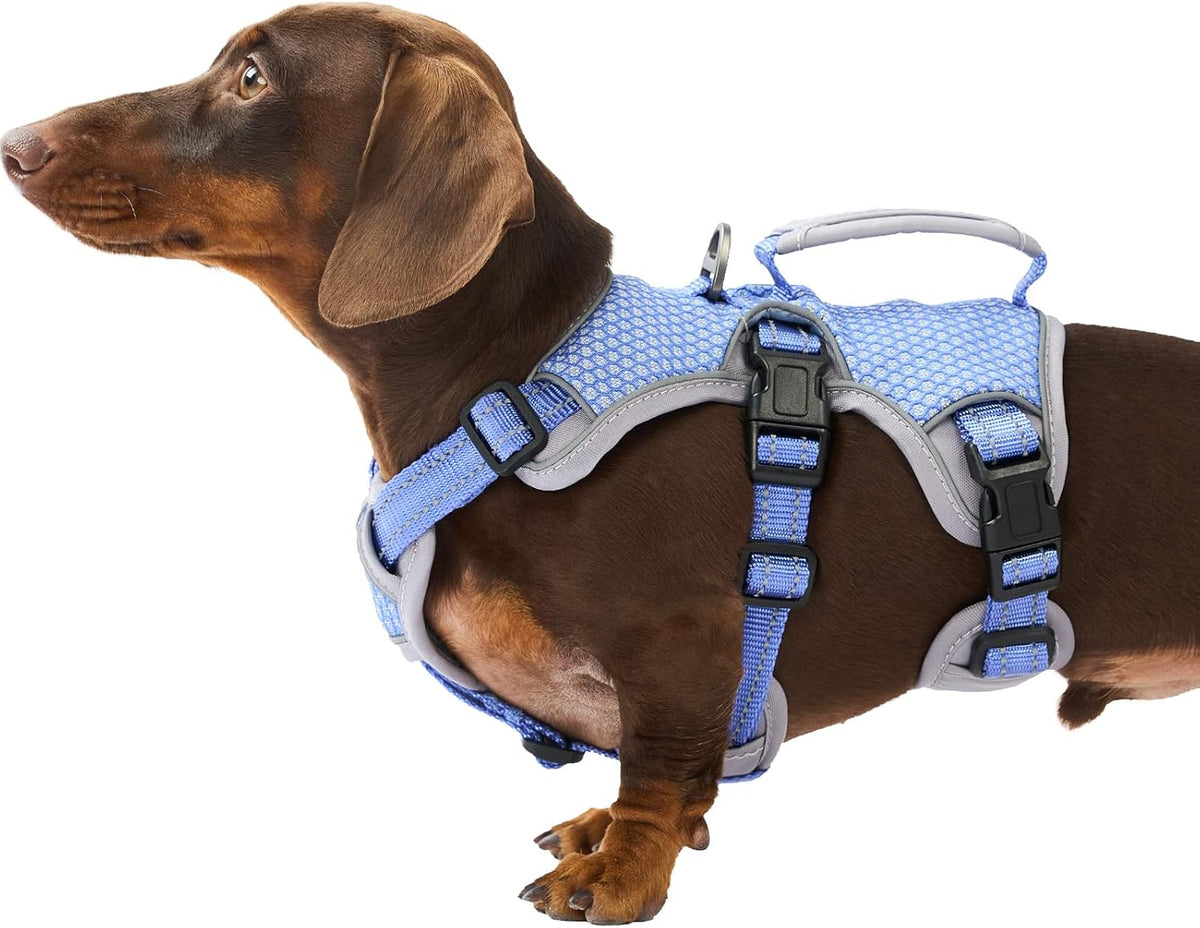 Huntboo escape proof dog harness front view premium small dog vest