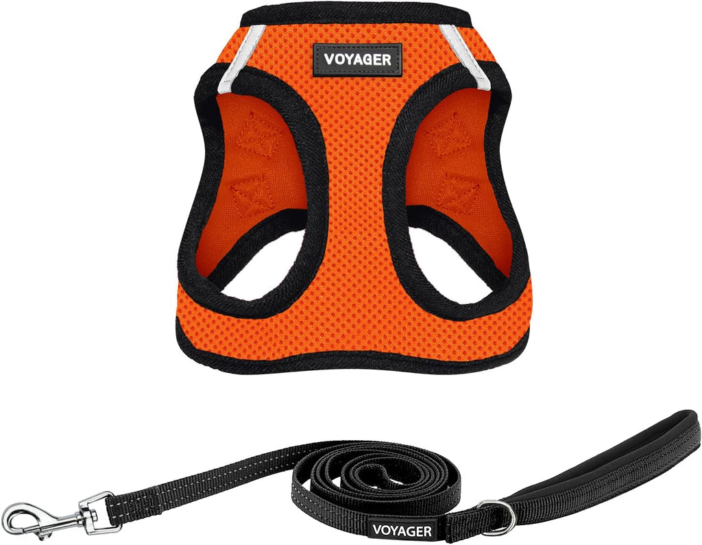 Best Pet Supplies Voyager Step-in Air All Weather Mesh Harness and Reflective Dog 5ft Leash Combo with Neoprene Handle, for Small, Medium and Large Breed Puppies - Fuchsia, Small - Image 15