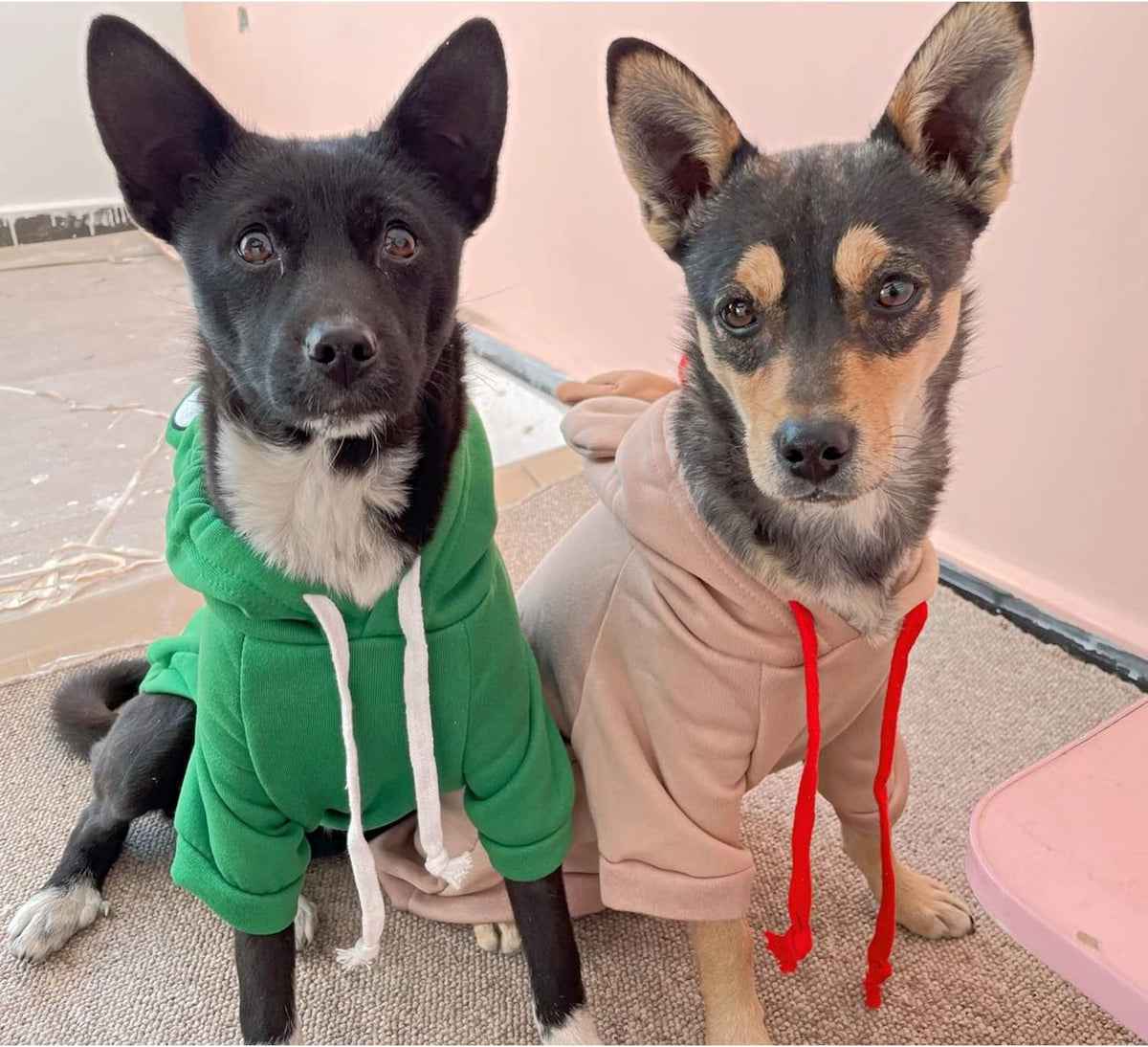 Pet wearing warm fleece lined frog sweater coat
