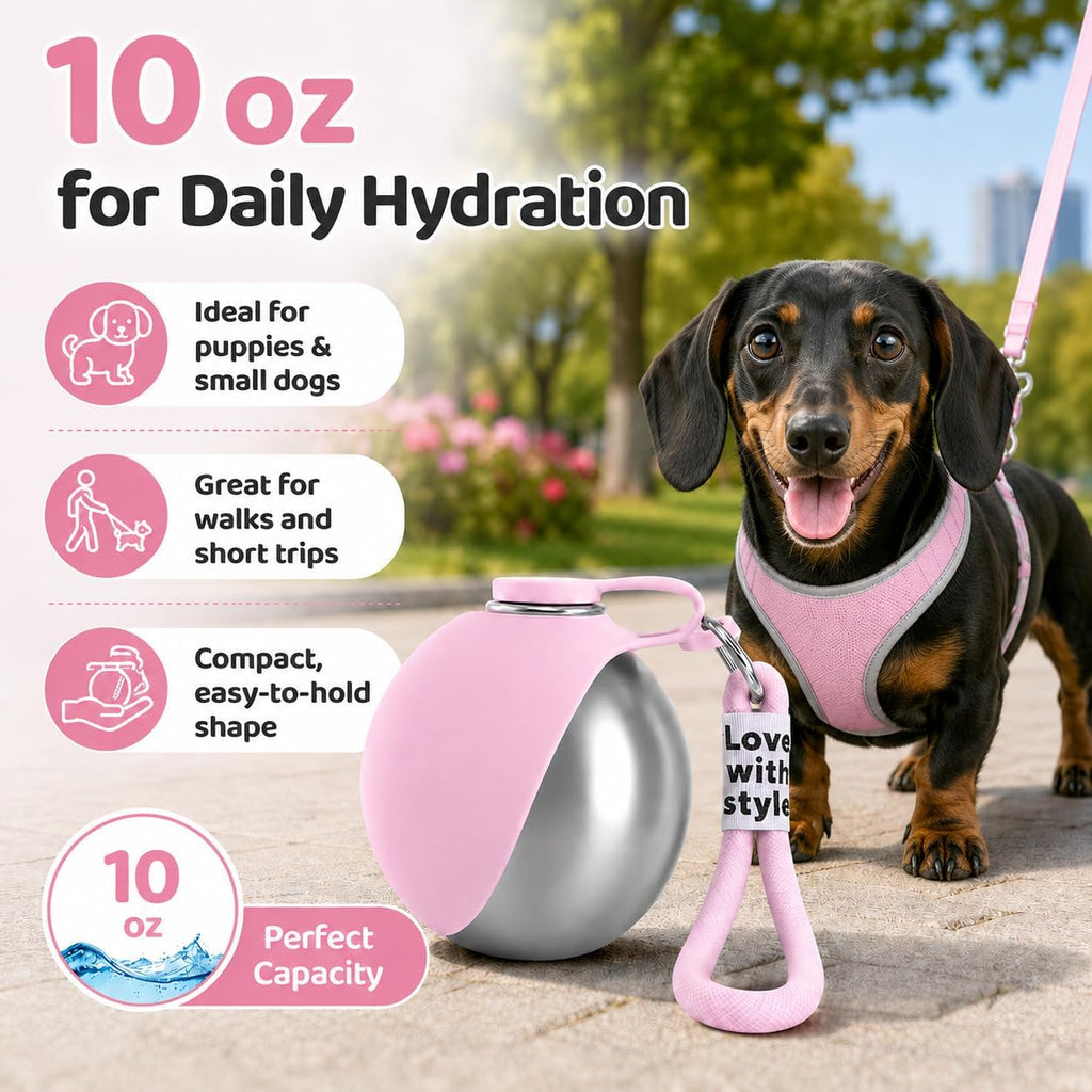 A small puppy drinking comfortably from the unfolded pink silicone bowl of the Bokynu travel dispenser.