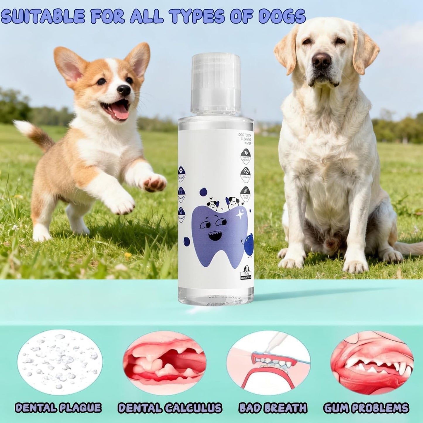 PawBright teeth cleaning water liquid additive for dog and cat oral hygiene