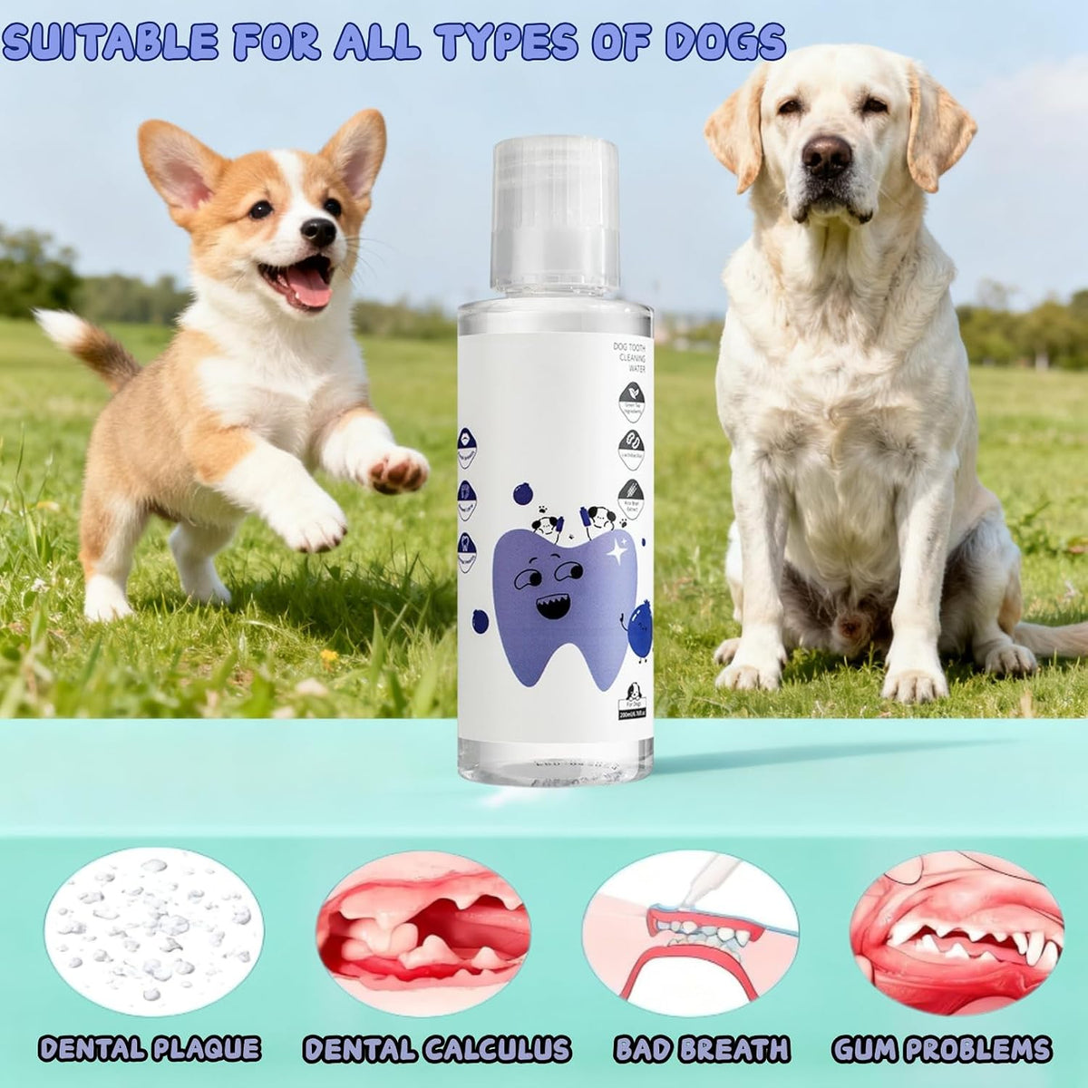 PawBright teeth cleaning water liquid additive for dog and cat oral hygiene