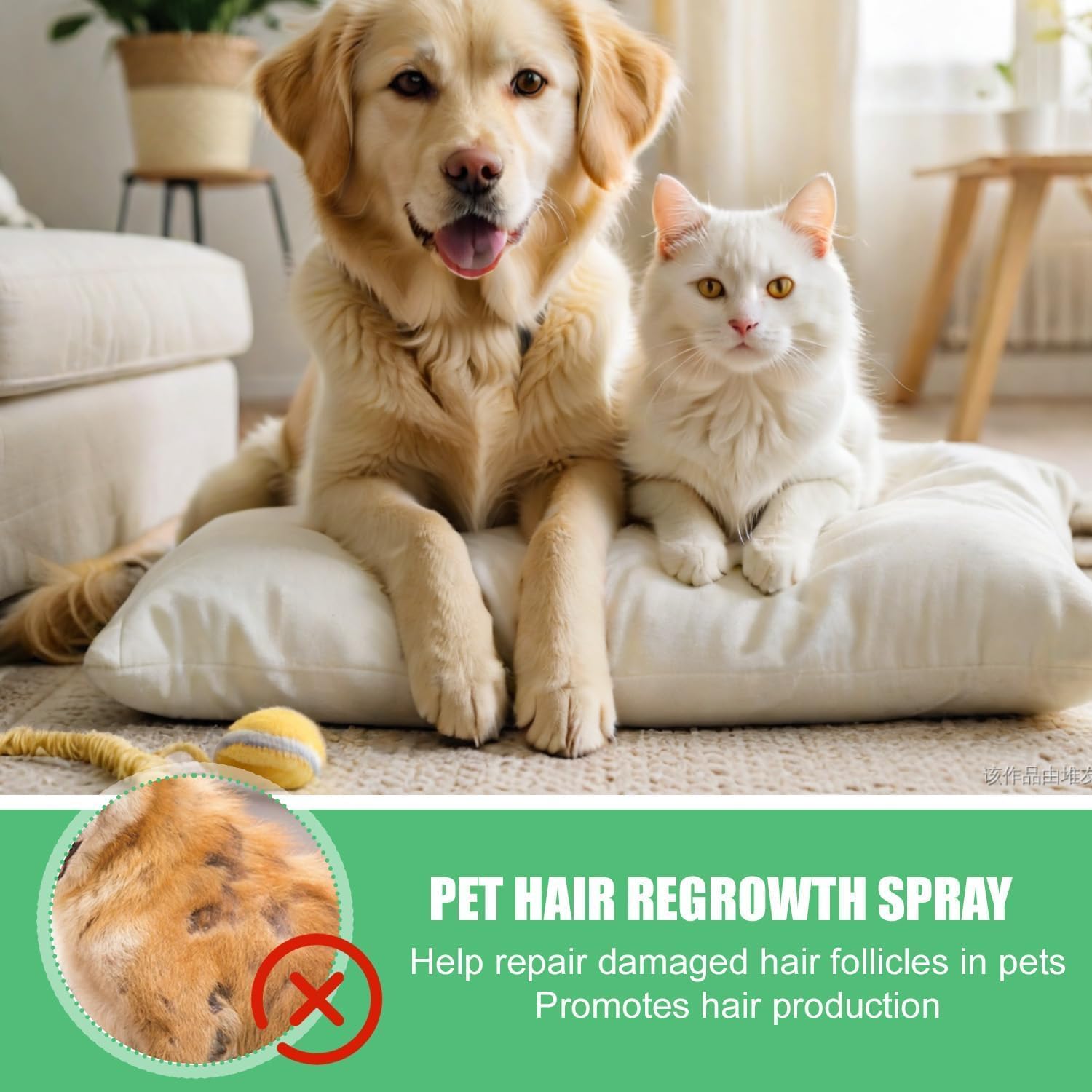 JoanofArc pet hair regrowth spray applied to cat matted fur for detangling.