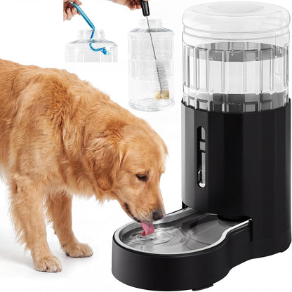 CZPET automatic dog water dispenser front view showing the 8 Liter bottle and stainless steel bowl