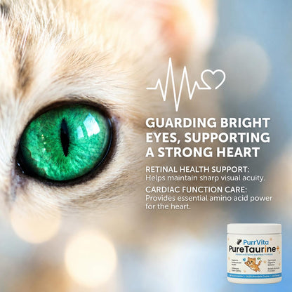 Cat amino acid supplement powder with included plastic dosing spoon