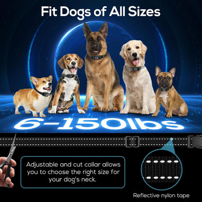 Close up of Keoge smart bark collar waterproof casing