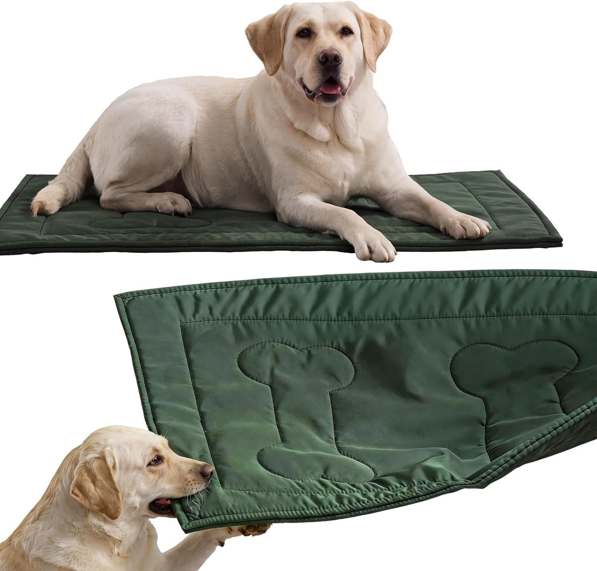 Royalay chew proof dog crate pad front view