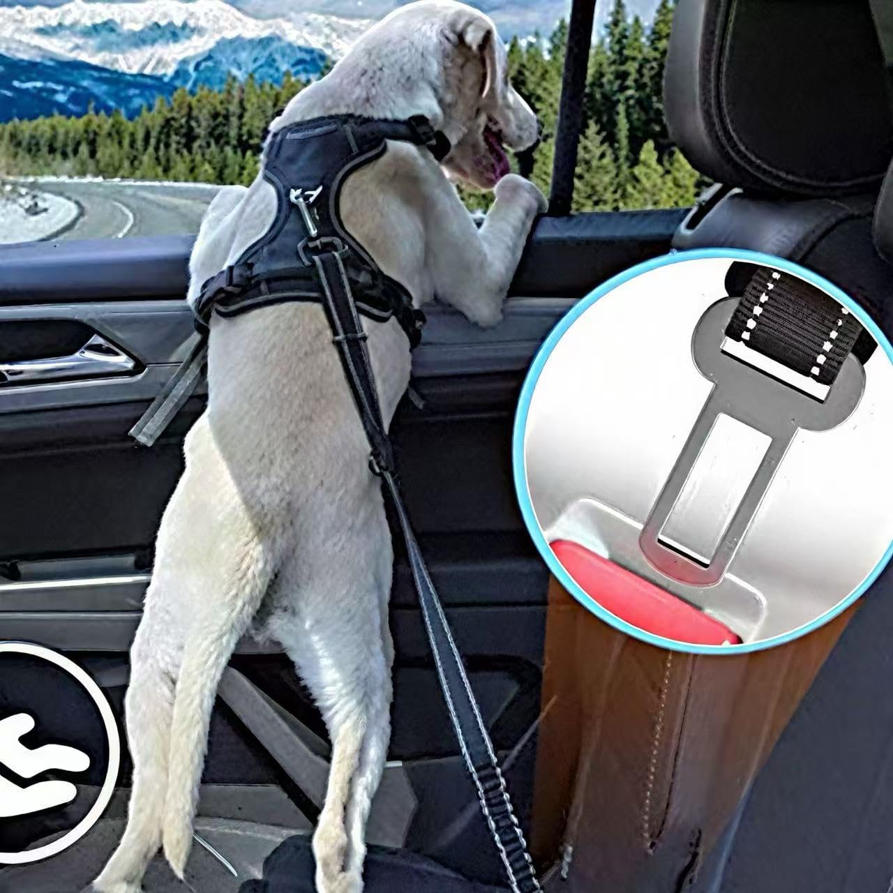 360-degree swivel carabiner on pet car safety strap