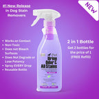 Ion Fusion pet stain remover application on carpet