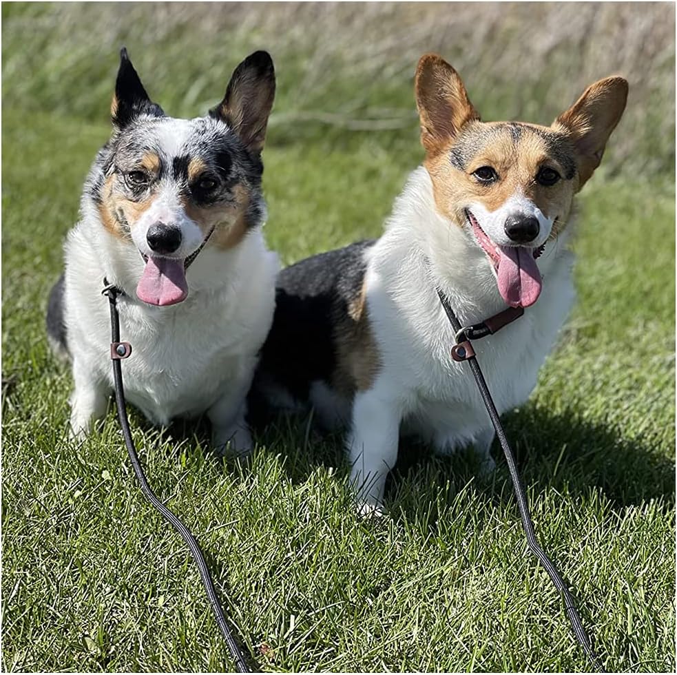 Premium round mountain climbing rope texture on the BTINESFUL professional dog walking lead