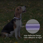 Reflective stitching on purple nylon dog collar