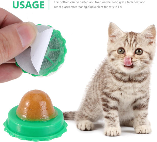 Balacoo edible cat sugar energy balls mounted securely on a smooth tiled wall for kittens