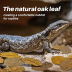 Maqihan bioactive terrarium substrate retail packaging