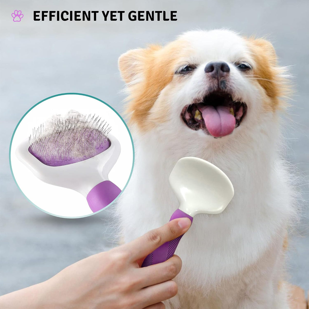 Poodlie authentic imported USA pet detangler comb set