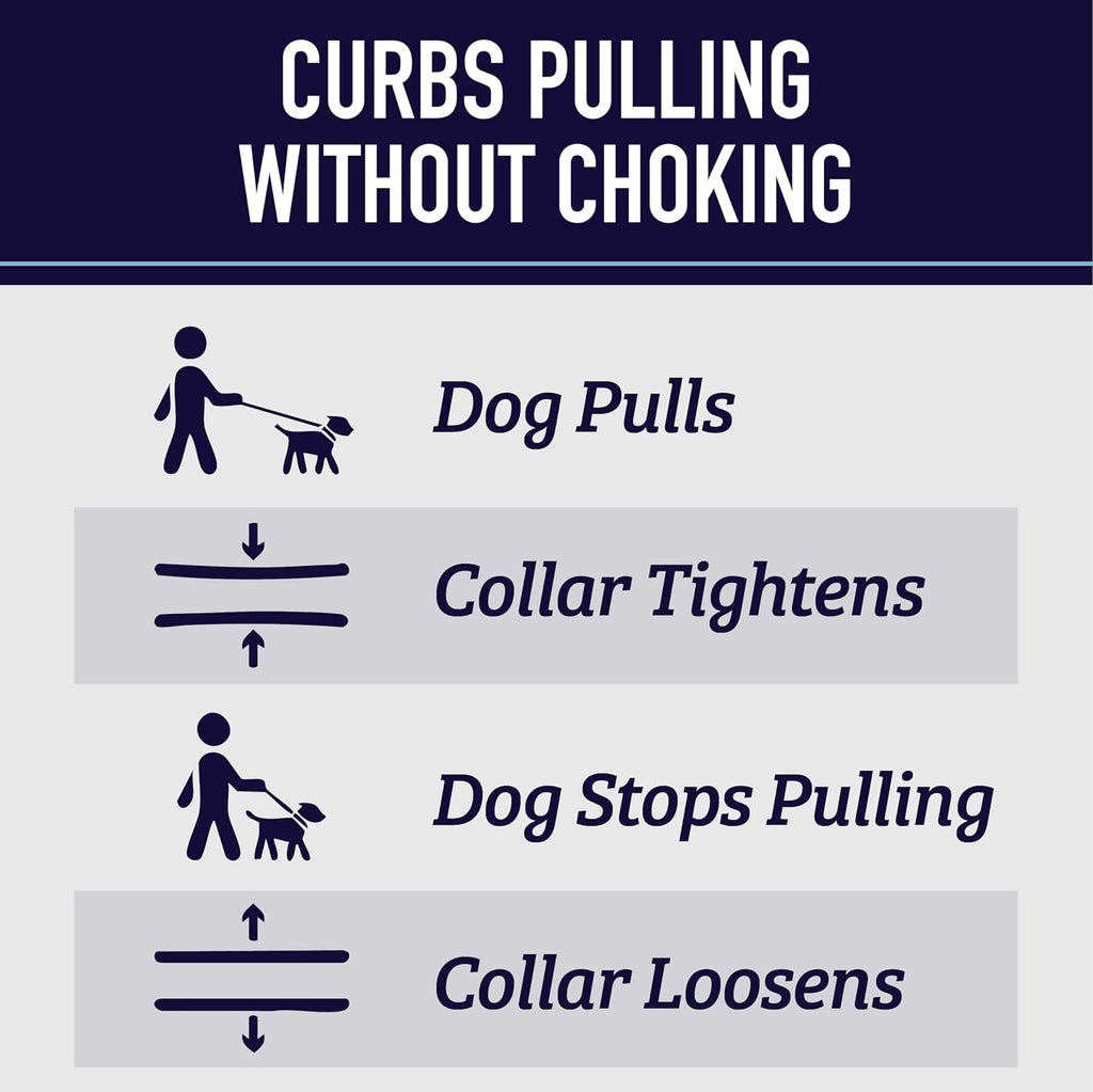 Leash Boss patterned training collar with dual channels of reflective stitching details