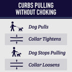 Leash Boss patterned training collar with dual channels of reflective stitching details