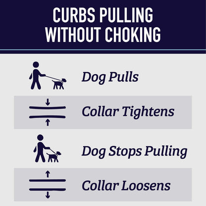 Leash Boss patterned training collar with dual channels of reflective stitching details