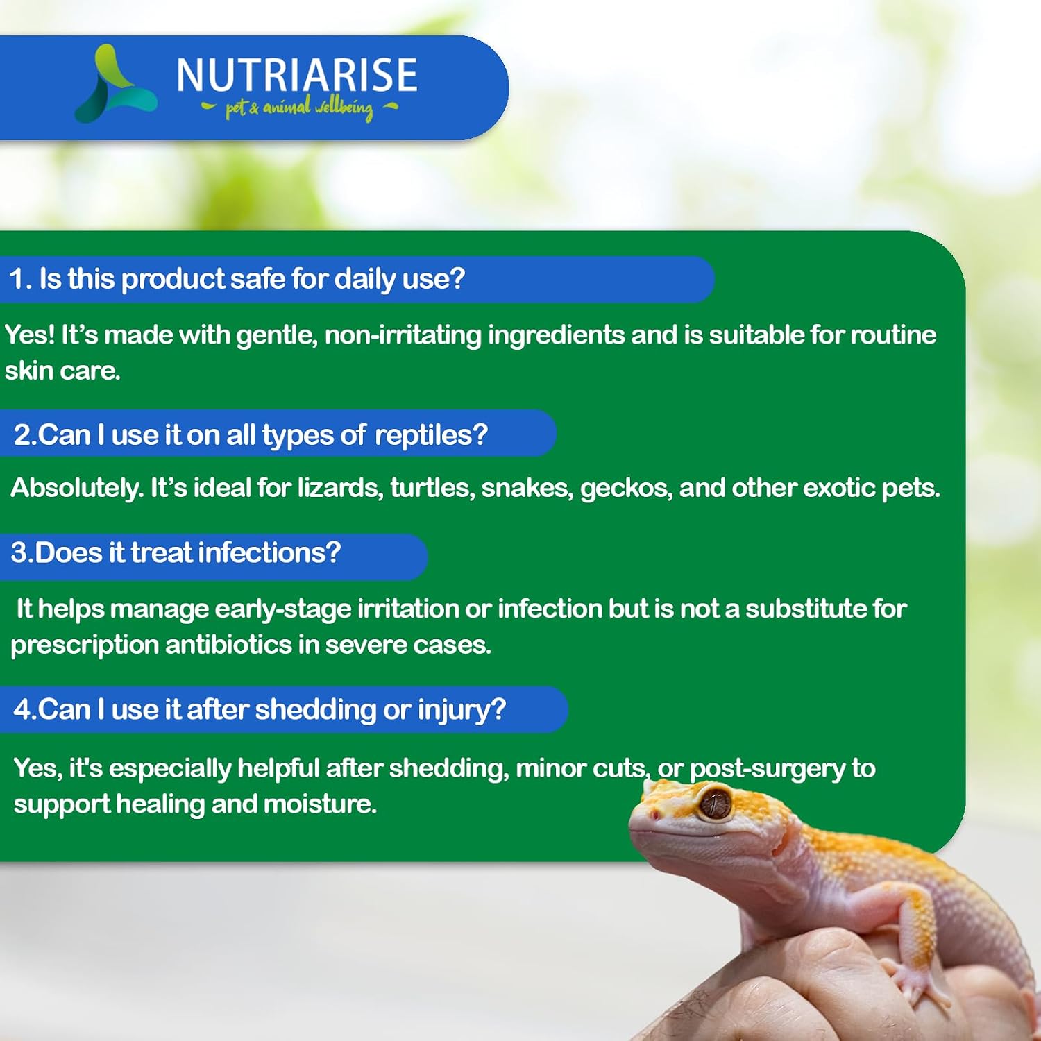 Natural wound care spray for geckos and lizards
