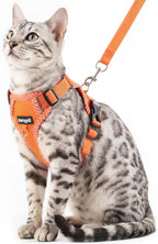 Cat Harness and Leash Escape Proof Extra Large Kitten Harness Maine Coon Cat Vest for Walking Travel, Dark Green, XL - Image 10