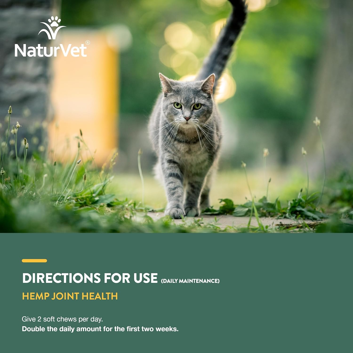 Close up of NaturVet Hemp Joint Health soft chews for cats