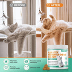 Soft chews for cat skin and coat support close up