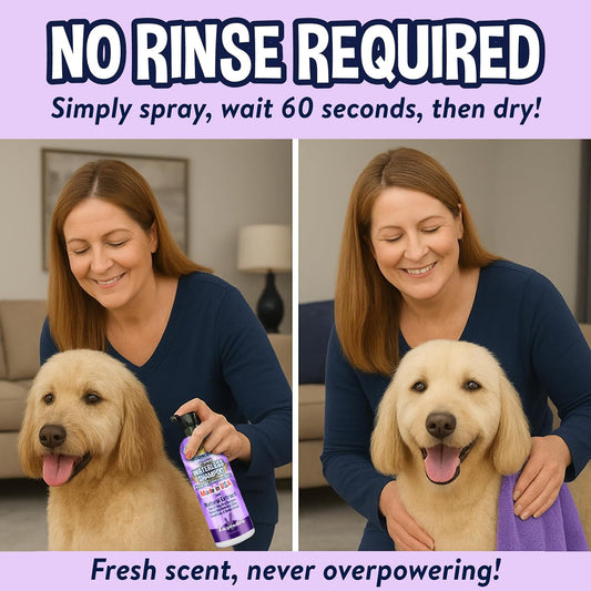 Bodhi Dog dry shampoo spray nozzle detail