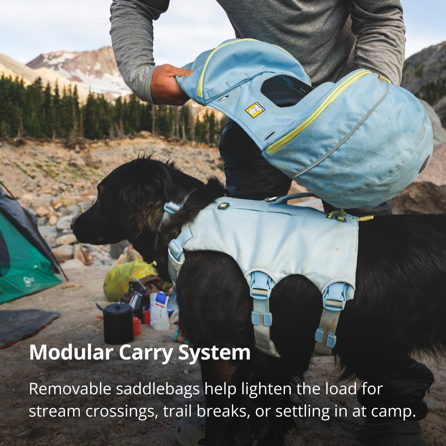 Ruffwear dog backpack with detached saddlebags showcasing the standalone breathable mesh harness