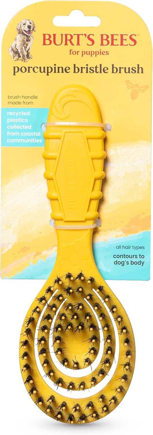 Burt's Bees for Pets Dual Sided Flea Comb with Handle from Recycled Coastal Plastics, Fine and Wide Stainless Steel Pins Remove Fleas, Flea Eggs, Tangles, and Dander, 6 Inch - Image 12