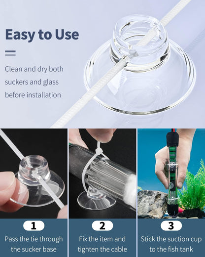 Mini one inch aquarium suckers attached to the inside of a fish glass tank.
