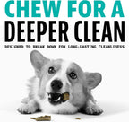 Authentic USA imported Dinovite canine dental chews for plaque and tartar prevention