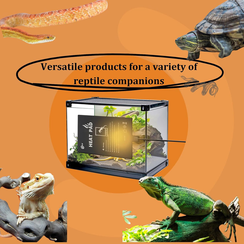 USB powered terrarium heater connected for pet habitat setup