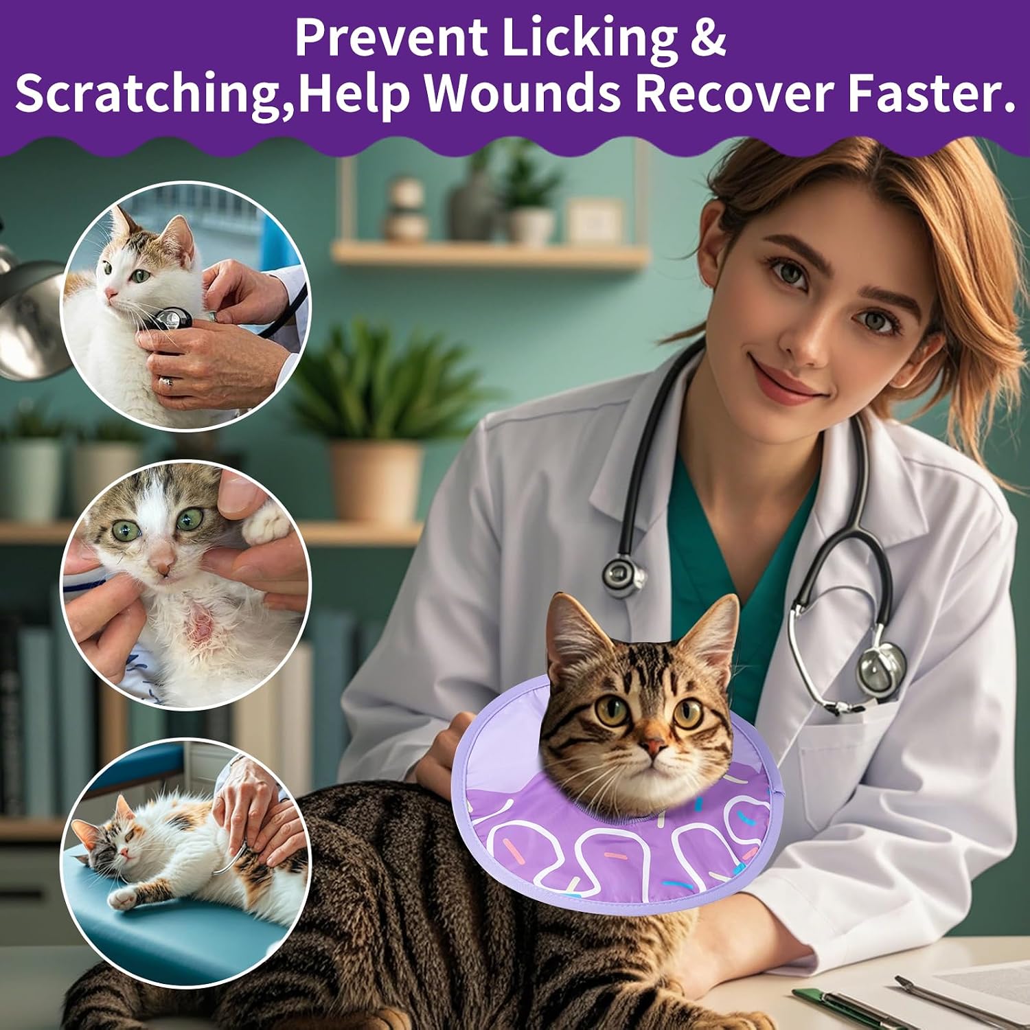 Kitten eating comfortably while wearing purple donut collar
