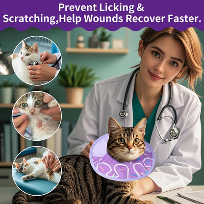 Kitten eating comfortably while wearing purple donut collar
