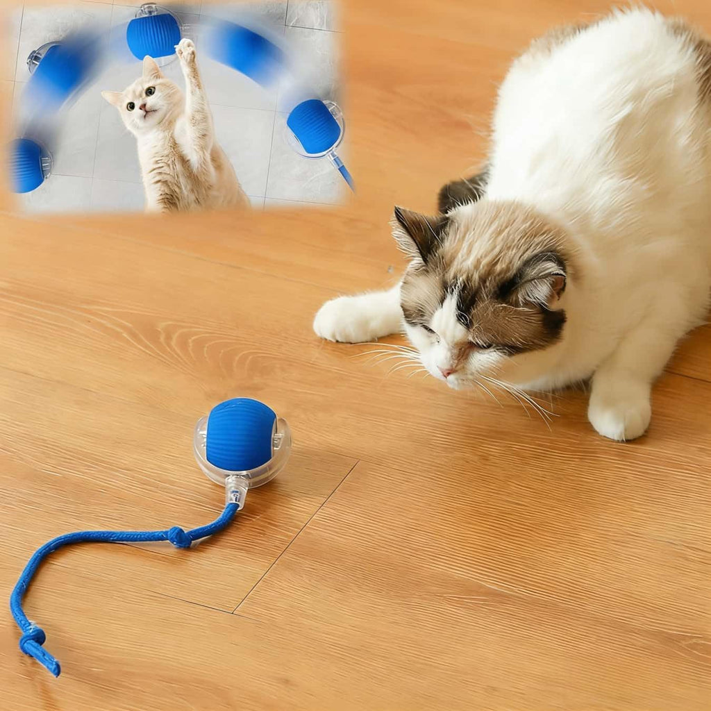 Interactive Cat Toys for Indoor Cats, Agility Move Cat Balls,Motion Activated Cat Balls, Cat Toys for Bored Indoor CatsGreen - Image 10