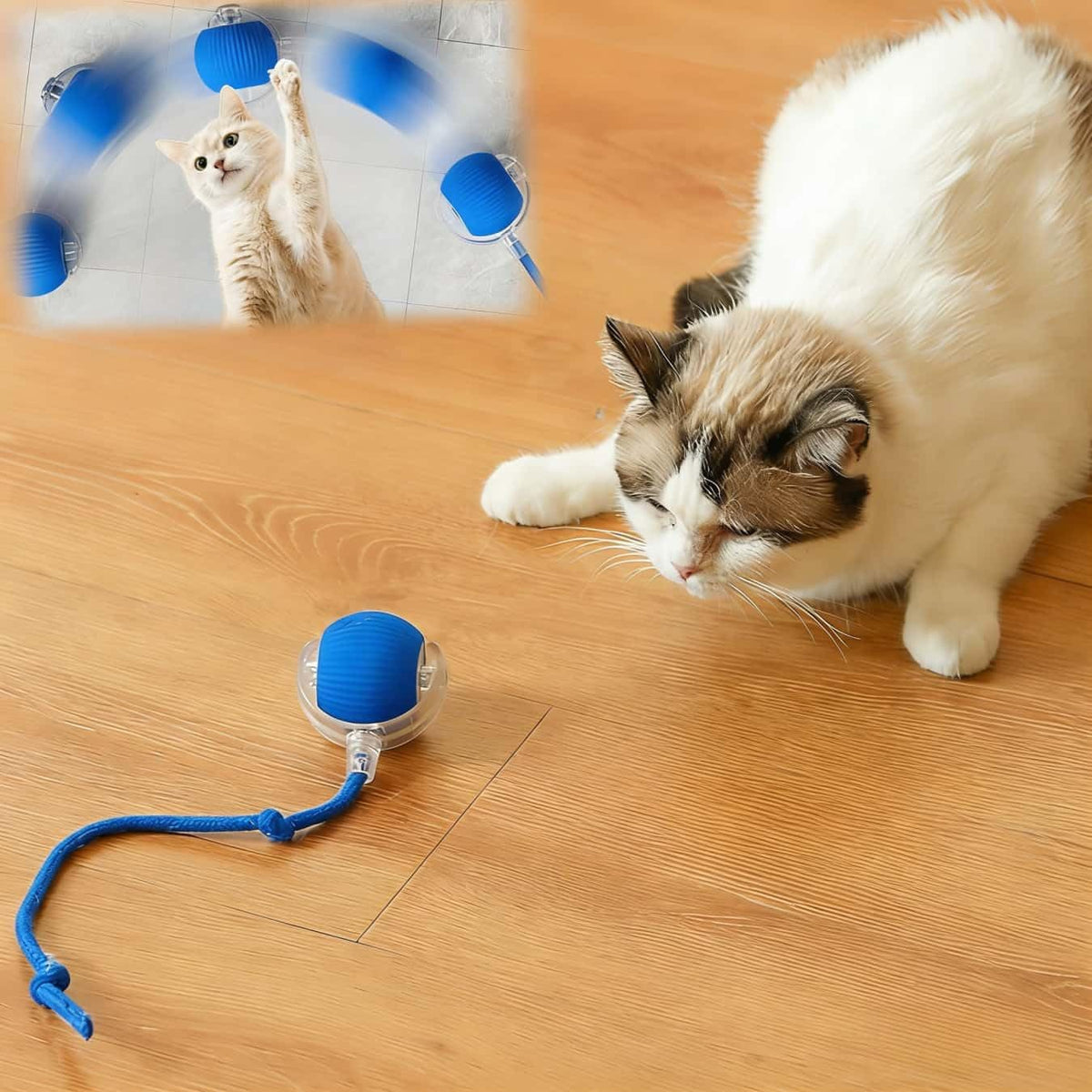 Interactive Cat Toys for Indoor Cats, Agility Move Cat Balls,Motion Activated Cat Balls, Cat Toys for Bored Indoor CatsGreen - Image 10