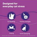 Feliway forty eight milliliter refill bottle close up
