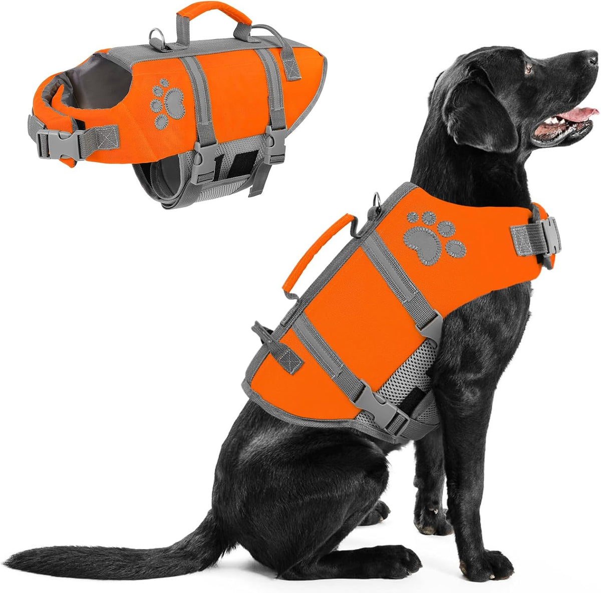 Queenmore Small Dog Life Jacket, Ripston Dog Life Vest, Small Doggie Life Vest for Swimming, Safety Puppy Swimming Vest with Handle, Puppy Preserver for Boating, Pet Lifesaver for Water Pool - Image 10