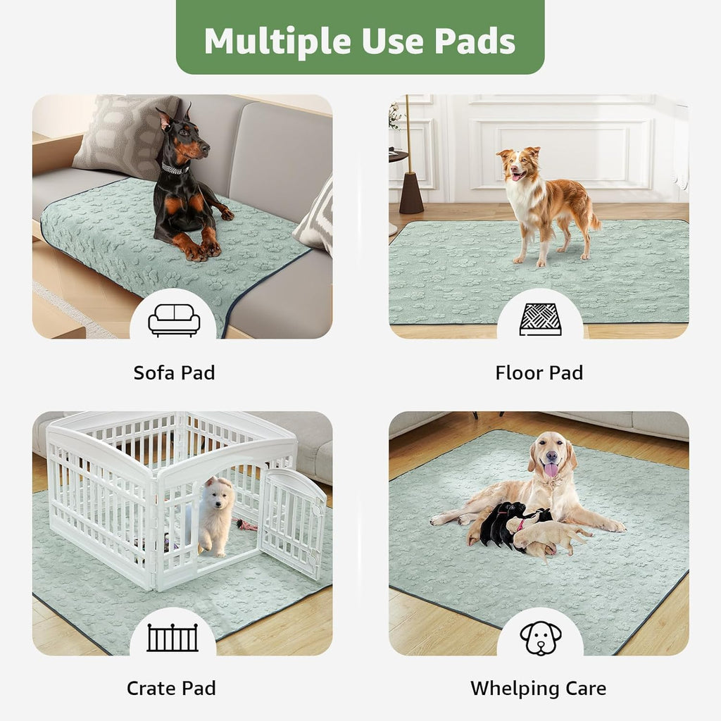 Comparison of Loobani reusable puppy pads next to a dog