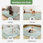 Comparison of Loobani reusable puppy pads next to a dog
