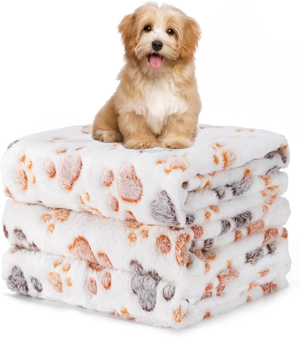 Lightweight Yintrest pet blankets packed neatly for an outdoor camping trip with dogs.