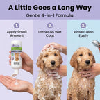 Premium 4 in 1 lavender scented dog shampoo for curly doodle coats.