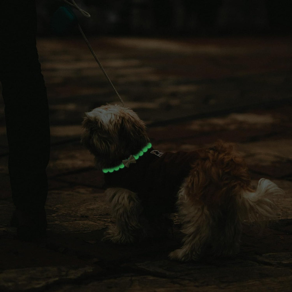Artisan pet jewelry collar showing the secure clasp mechanism close up
