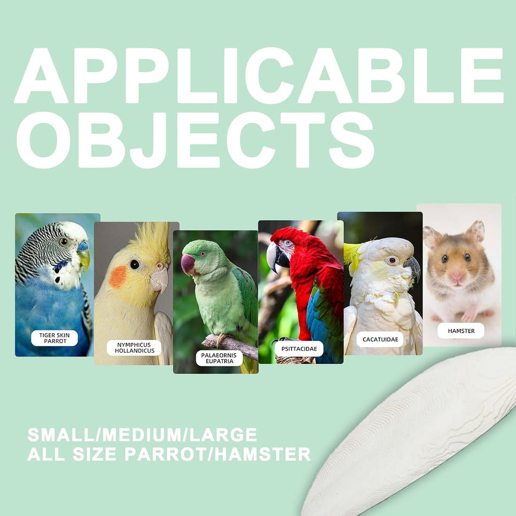 Natural cuttlebone mounted securely on vertical wire cage bars