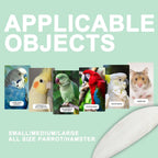Natural cuttlebone mounted securely on vertical wire cage bars