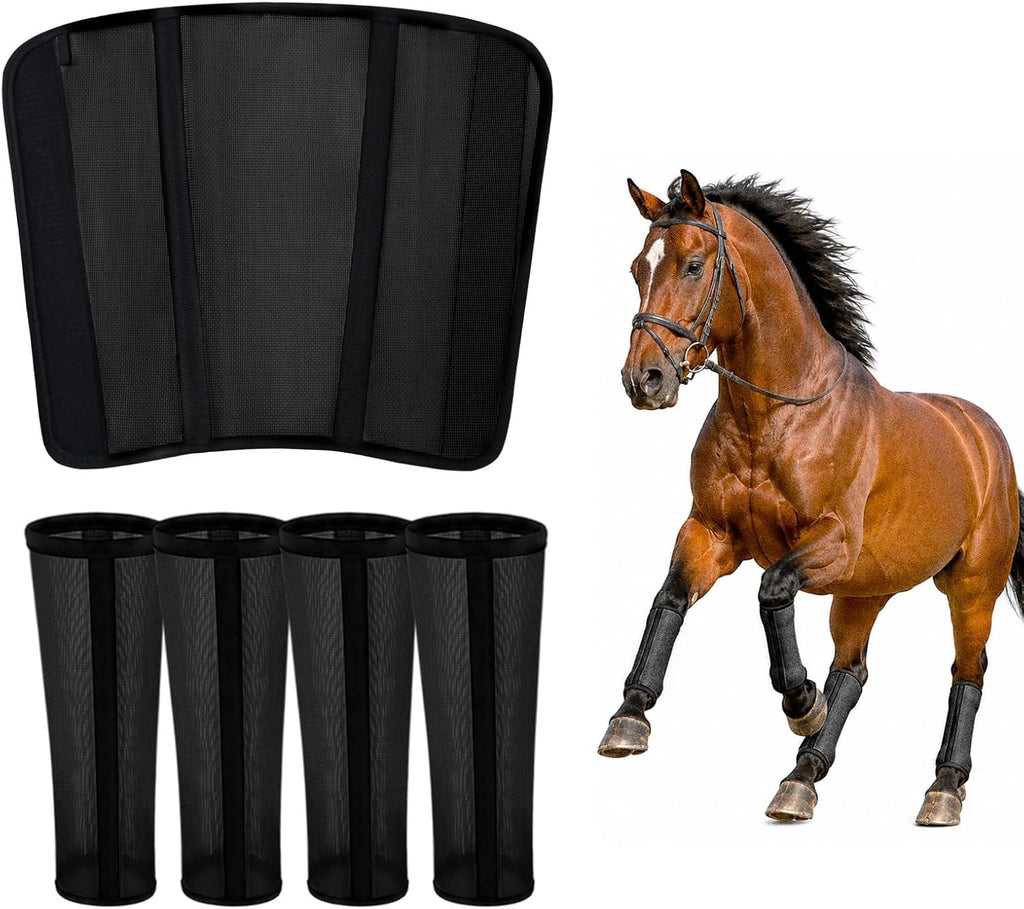 BangBoom fly boots for horses front view premium equine leg protection mesh wraps