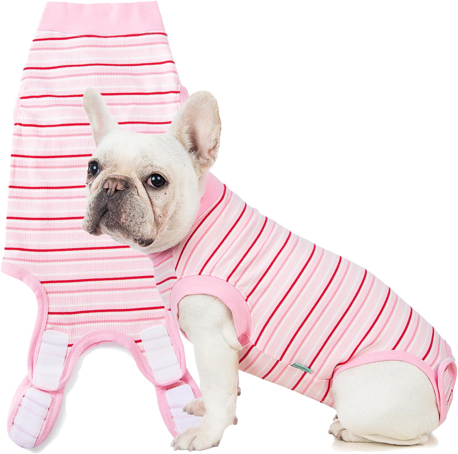 Back view highlighting the comfortable turtleneck collar design of the Sebidtco dog suit.