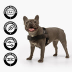 Dog Friendly Co dog harness pink large showcasing heavy duty metal D ring