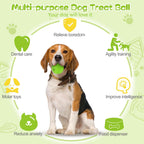 Dog playing with Hippih rubber chew ball
