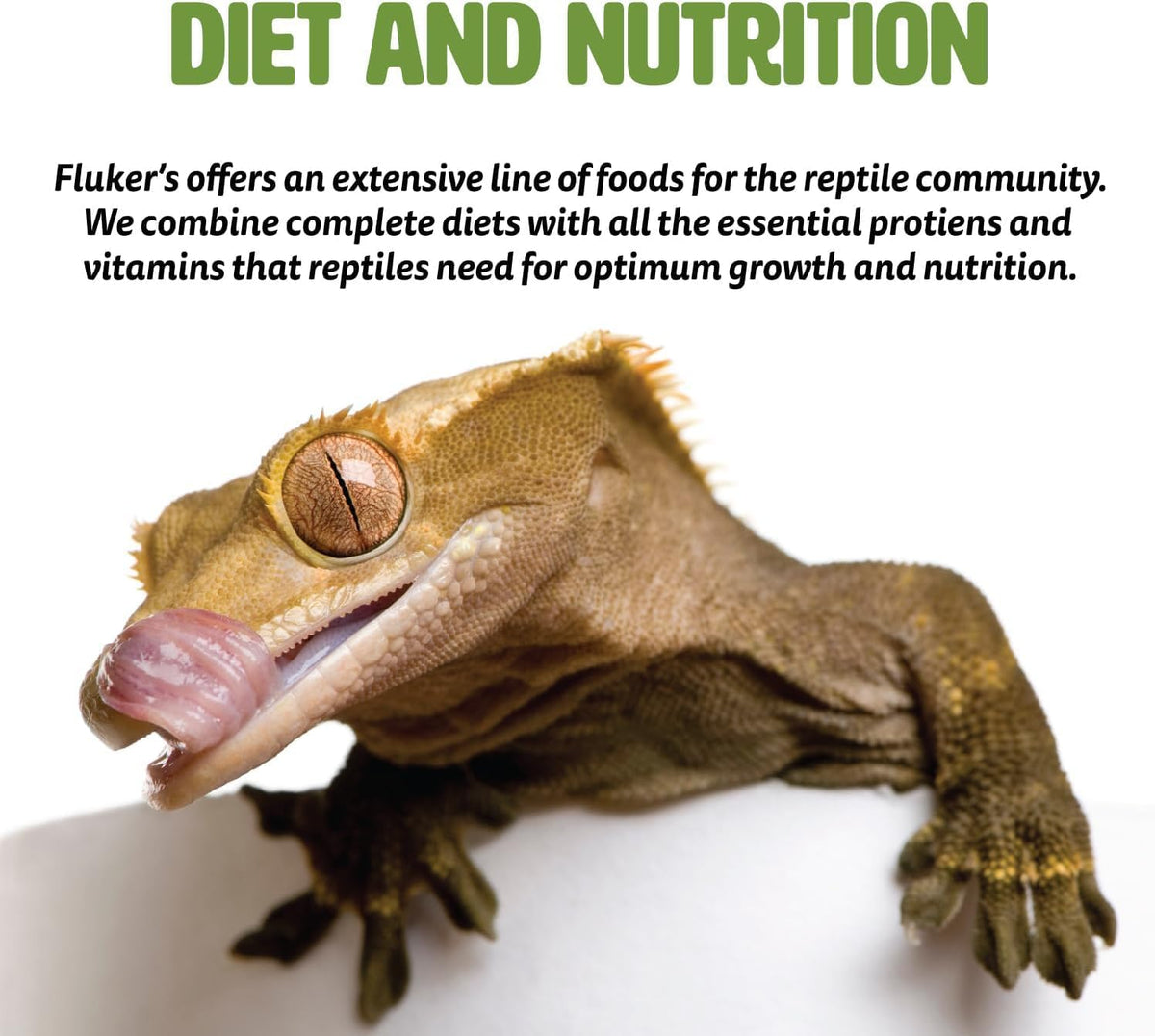 Fluker's Freeze Dried River Shrimp, Nutrient-Packed, Ideal for Lizards, Reptiles, Birds, Fish, Hedgehogs, 1 Oz - Image 9