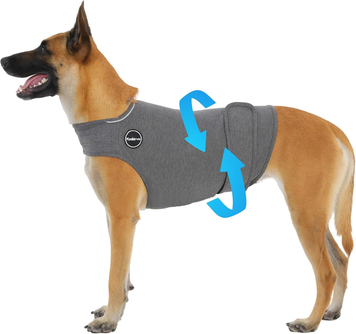Dog Anxiety Vest, Skin-Friendly Thunder Jacket for Dogs, Dog Calming Shirt for Thunder, Fireworks, Vet Visits and Separation - Keep Pet Calm Without Medicine, Fit for Small Medium Large Dogs - Image 9